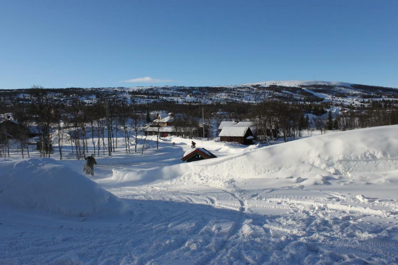ロンBergfosshyttaアパートメント エクステリア 写真